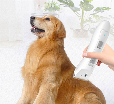 Grooming & Cleaning