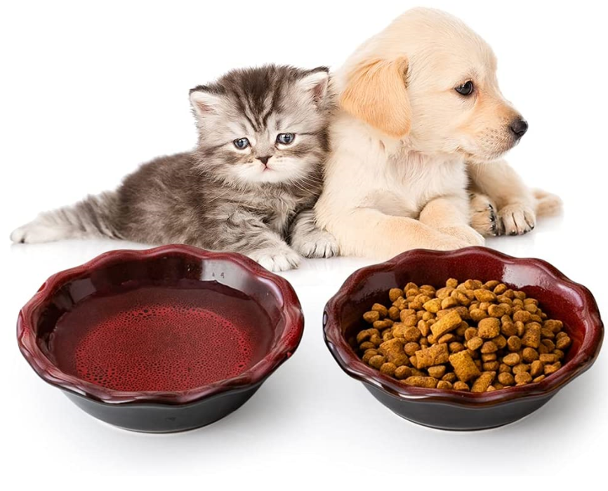 Cat Bowl 5.5 Inch Cat Food ,Non-Slip Pet Food Bowl for Cat and Little Dog,Cute Cat Bowl with Nice Glaze