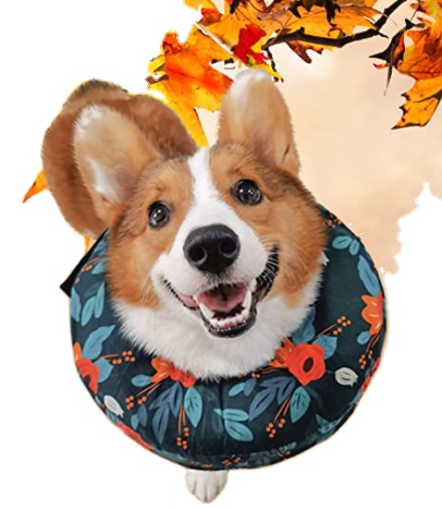 Inflatable Collar for Dogs and Cats Soft Pet Recovery Collar Prevents Pets from Touching Stitches Wounds and Rashes