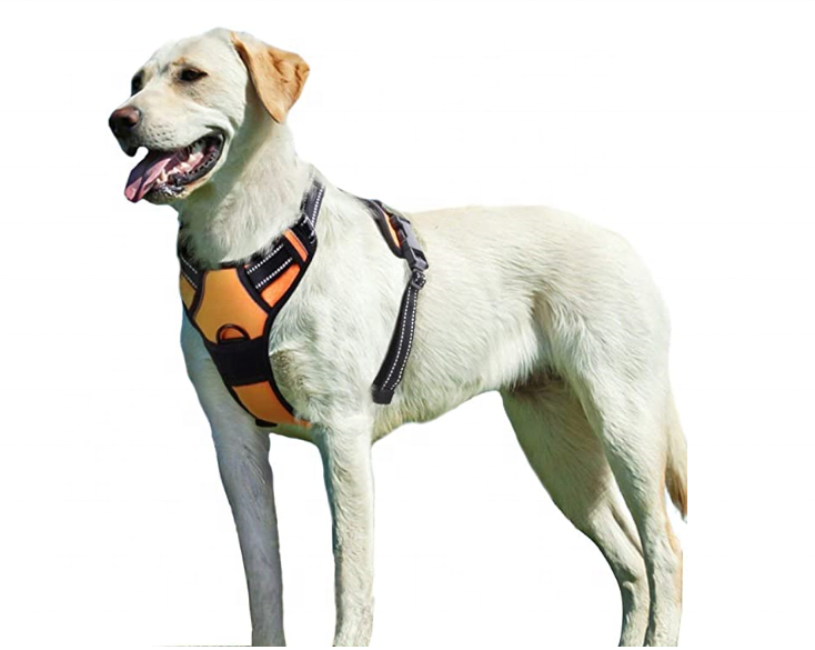 Dog Walking Pet Harness with 2 Metal Rings and Handle Adjustable Reflective chest strap chain Easy Control Front Clip