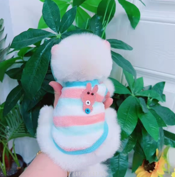 New pet milk dog autumn and winter clothes teddy dog winter clothing dog clothes