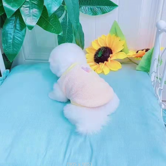 Small Product Picture