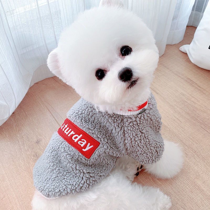 Cats Thick Sweater for Autumn Winter Breathable Super Stretch Two leg pet warm clothes creative teddy bear pet coat