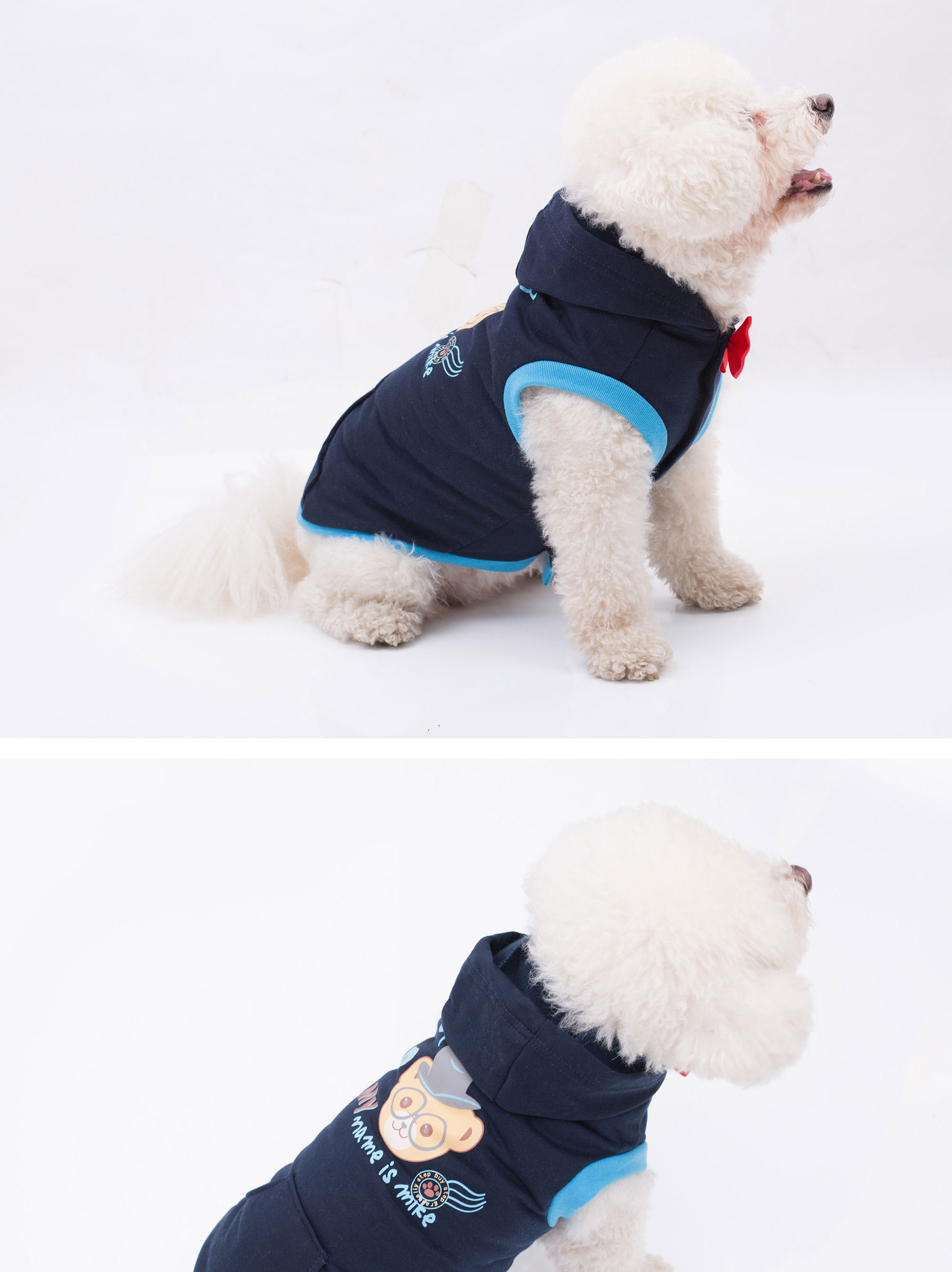Small Product Picture