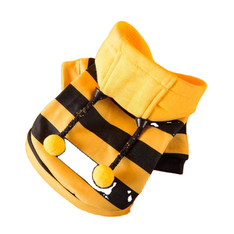 Medium-sized dog two legged clothes cat pet clothes Spring little dog sweater autumn and winter Cartoon Bear backpack