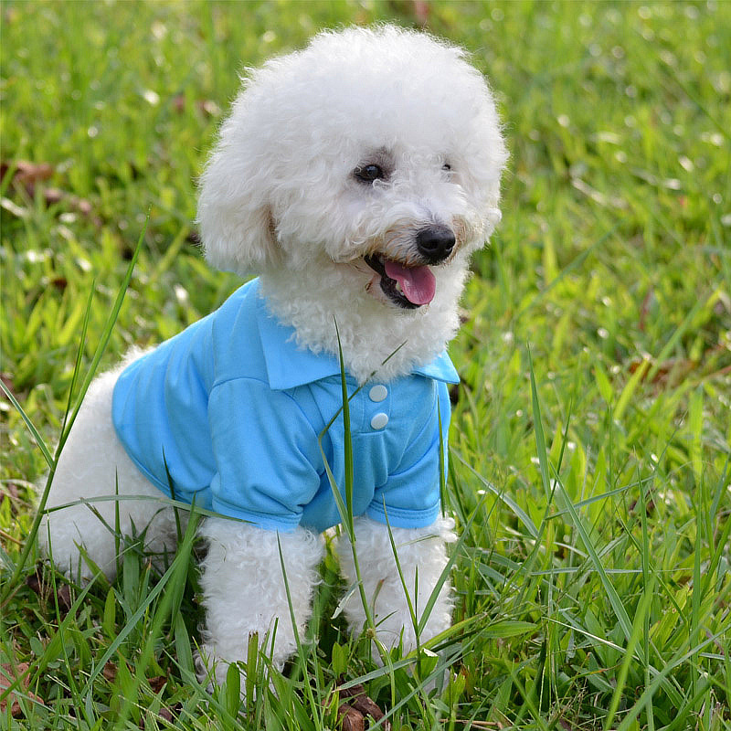 Dog two legged clothes cat pet clothes Spring little dog summer Polo shirt