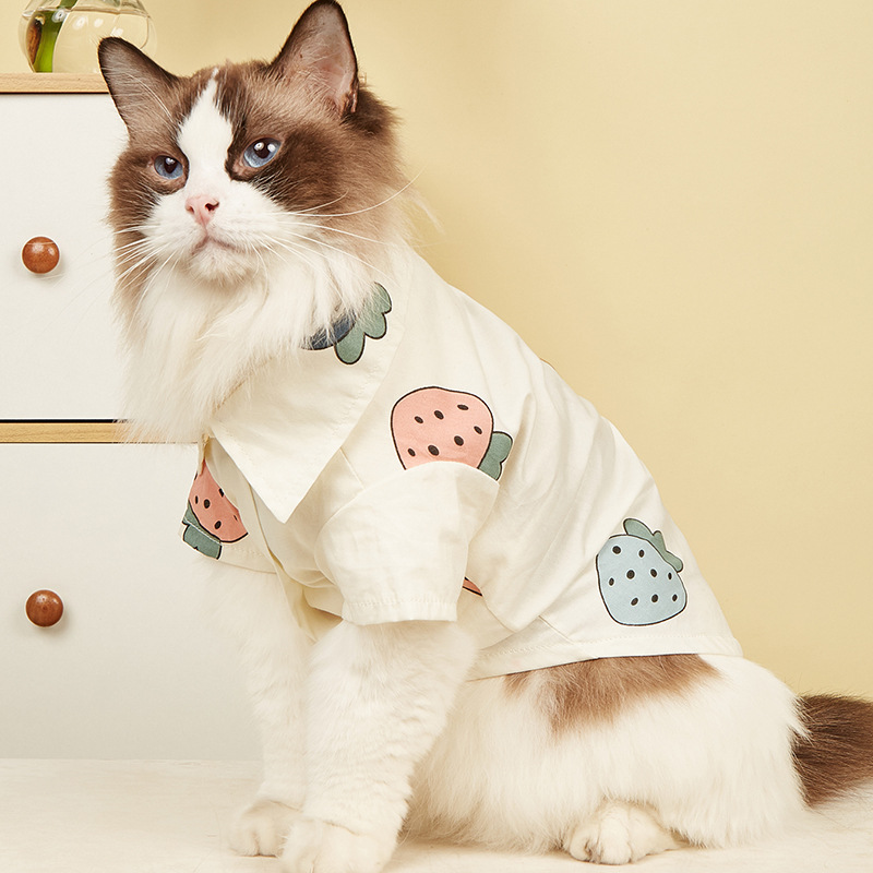 Pet clothes summer new ins style strawberry printed small cat shirt pet