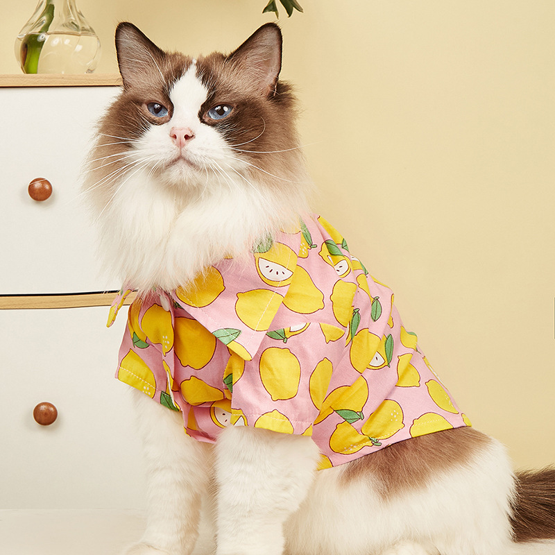 Pet clothes summer new ins style lemon printed small cat shirt pet
